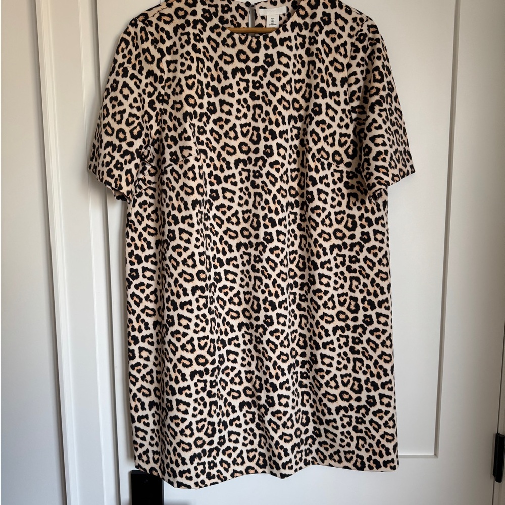 H&M Animal Print Dress